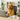 What If Your Office Was Designed by Your Dog?
