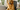 What If Your Office Was Designed by Your Dog?